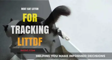 Top Cat Litter Options to Minimize Tracking and Keep Your Home Clean