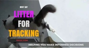 Top Cat Litter Options to Minimize Tracking: Keep Your Home Clean and Tidy
