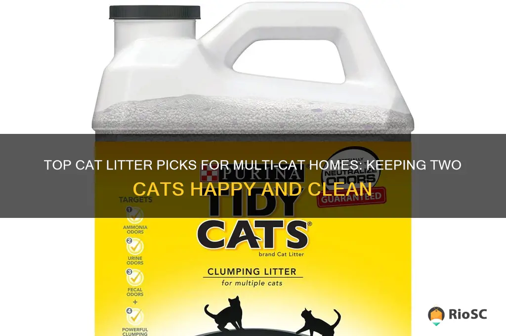 best cat litter for two cats