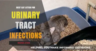 Purr-fect Relief: Top Cat Litter Choices for Managing Urinary Tract Infections