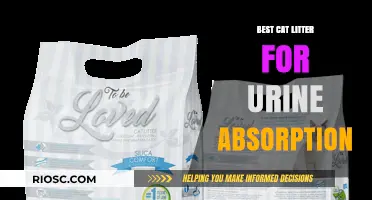 Top-Rated Cat Litter for Superior Urine Absorption: Keep Your Home Fresh and Odor-Free
