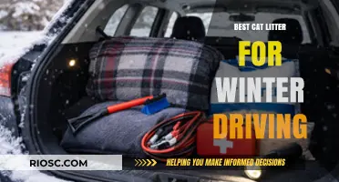 Winter-Ready Wheels: Top Cat Litter Picks for Safe and Effective Winter Driving