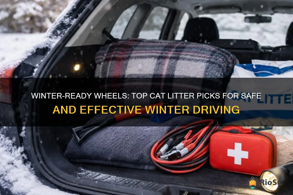 best cat litter for winter driving