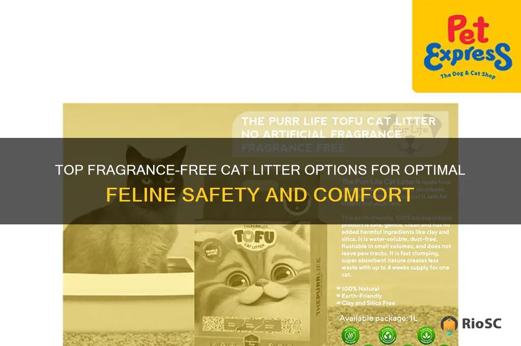 best cat litter fragrance free cat safety