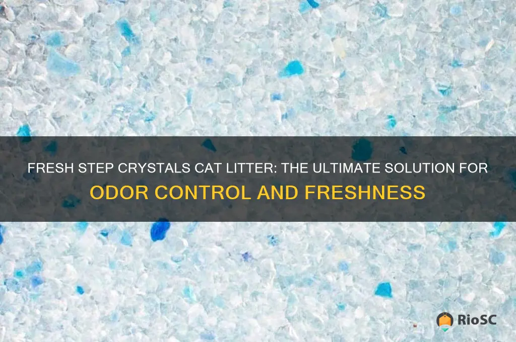 best cat litter fresh step crystals