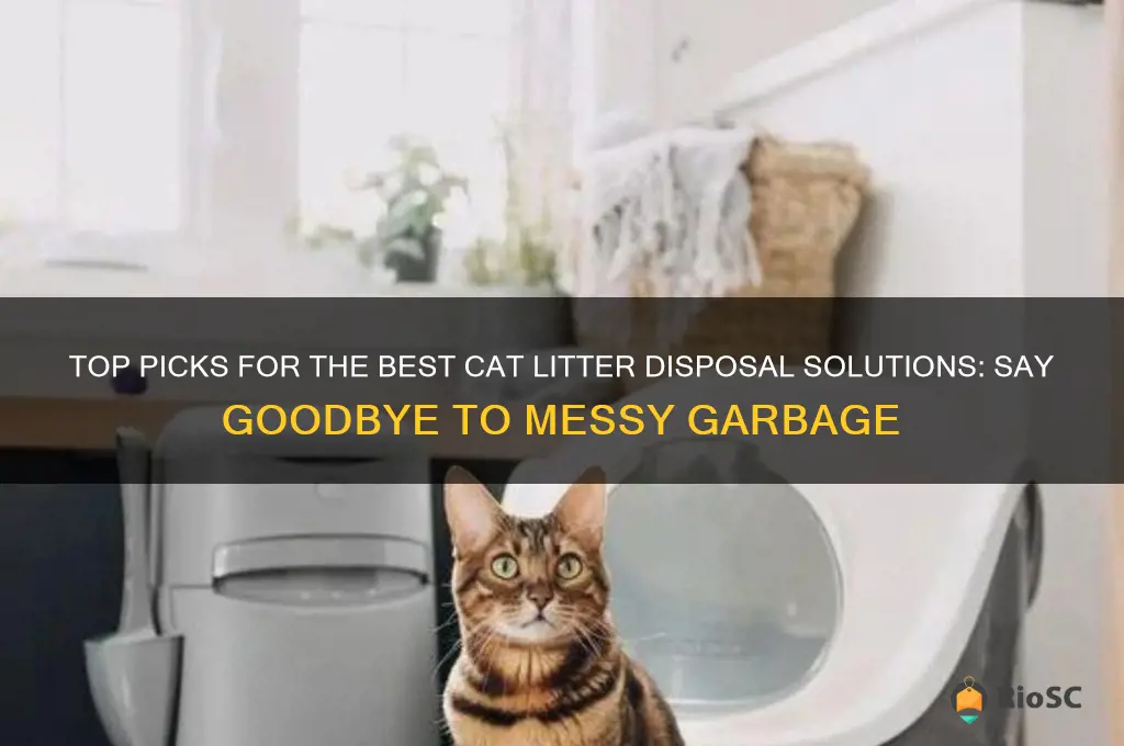 best cat litter garbage