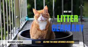 Top-Rated Cat Litter Options in Germany: A Comprehensive Guide for Cat Owners