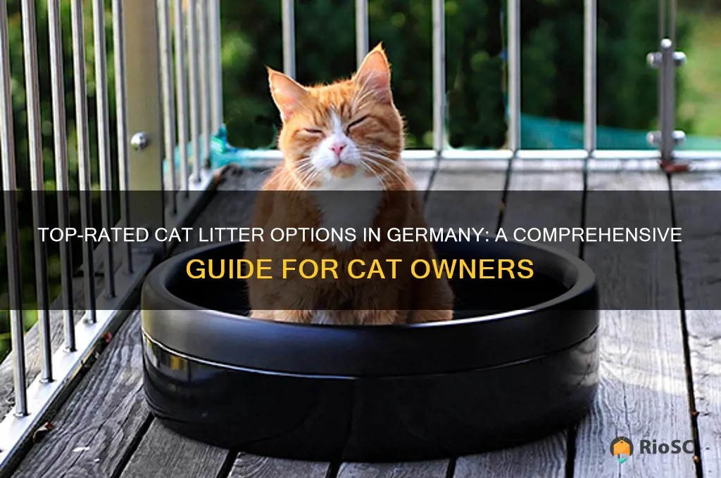best cat litter germany