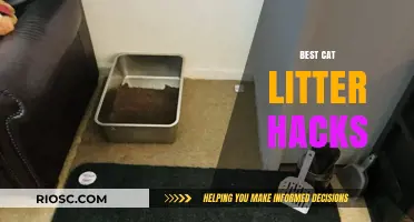 Purr-fectly Clean: Genius Cat Litter Hacks for a Fresher Home