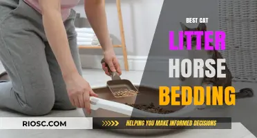 Eco-Friendly Pet Care: Why Cat Litter Horse Bedding is the Best Choice for Your Animals