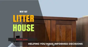 Purr-fectly Clean: The Ultimate Guide to Choosing the Best Cat Litter House for Your Feline Friend