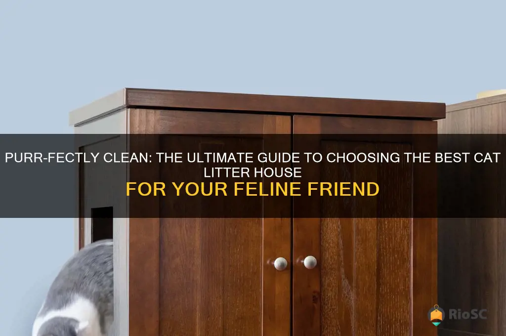 best cat litter house
