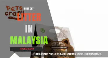Top-Rated Cat Litter Options in Malaysia: A Comprehensive Guide for Pet Owners