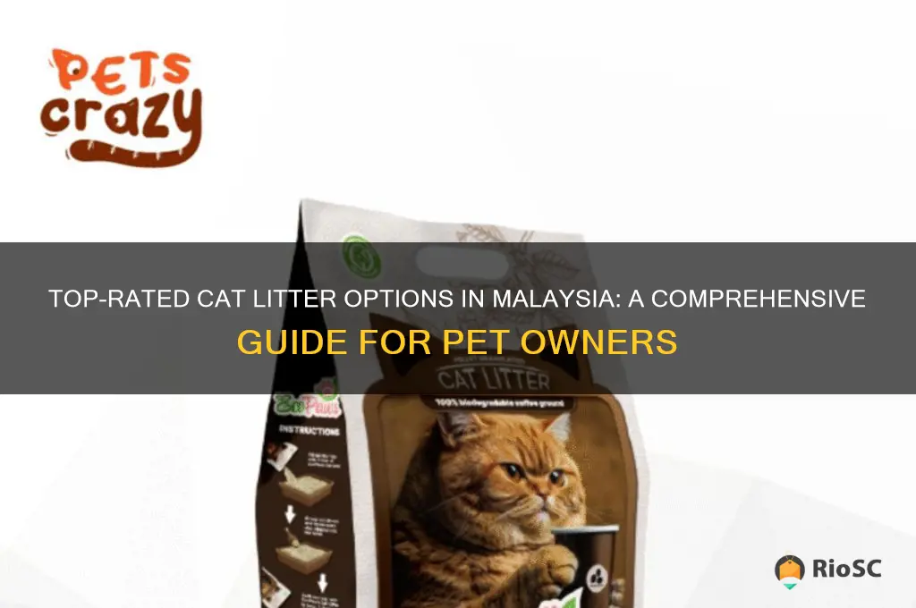 best cat litter in malaysia