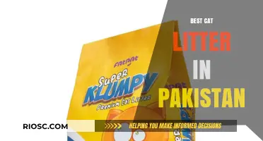 Top-Rated Cat Litter Options in Pakistan: A Comprehensive Guide for Pet Owners