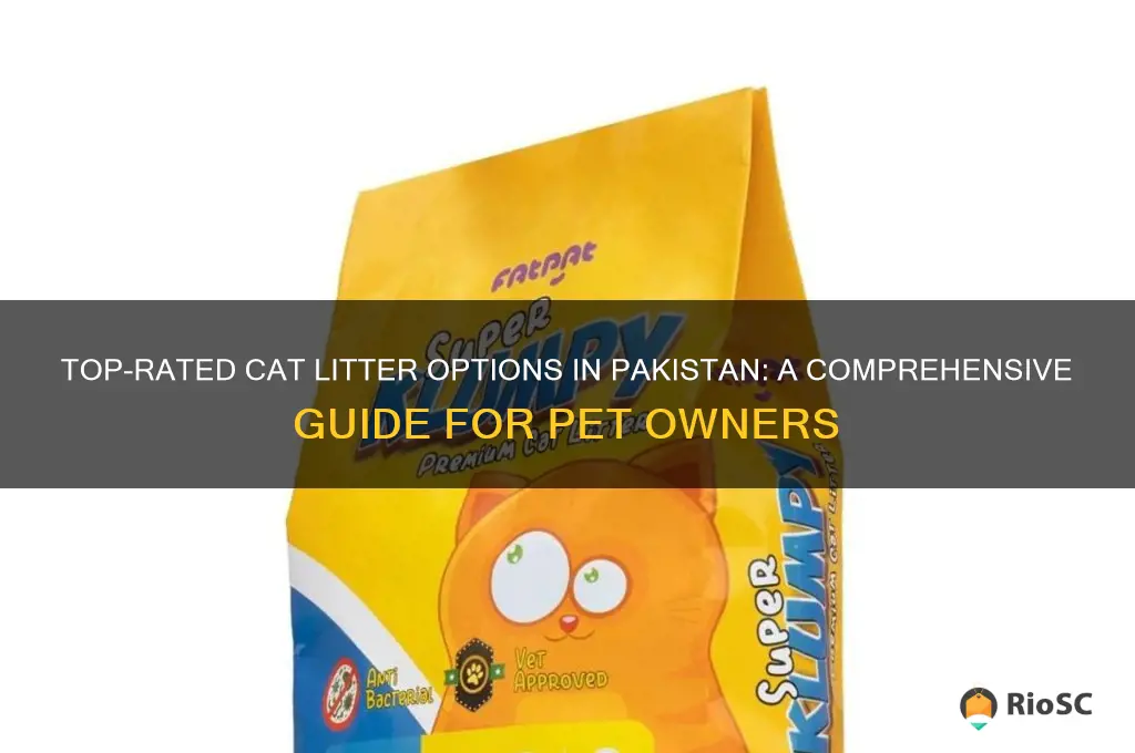 best cat litter in pakistan