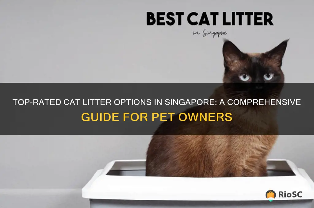 best cat litter in singapore