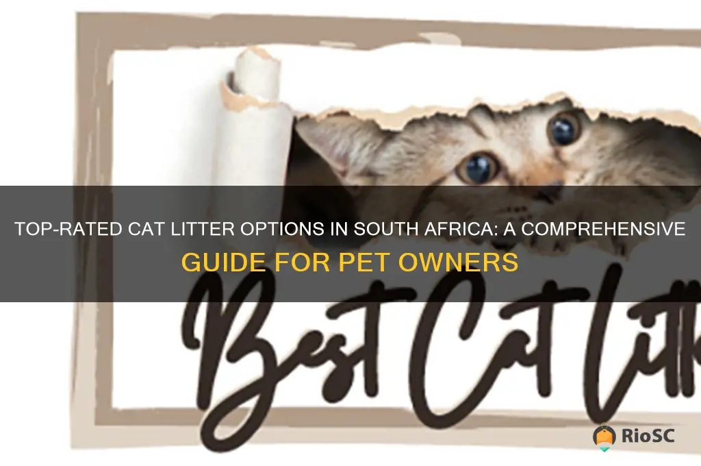 best cat litter in south africa