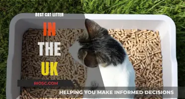 Top-Rated Cat Litter Options in the UK: A Comprehensive Guide to Choosing the Best for Your Feline Friend