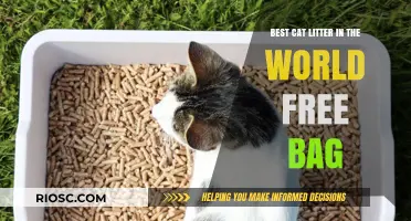 Purr-fect Choice: Discover the Best Cat Litter in the World with a Free Bag Offer!
