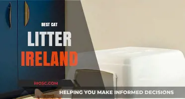 Top Picks for the Best Cat Litter in Ireland: Eco-Friendly, Odor-Control, and Budget Options
