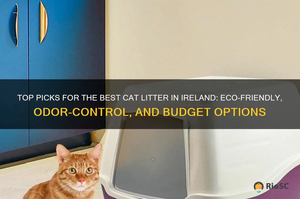 best cat litter ireland