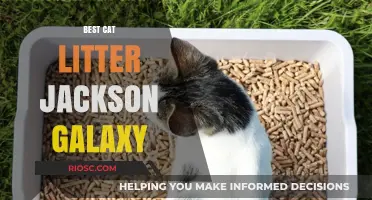 Jackson Galaxy's Top Picks: The Best Cat Litter for a Happy and Healthy Feline Home