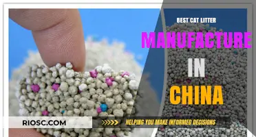 Top-Rated Cat Litter Manufacturer in China: Quality, Innovation, and Reliability