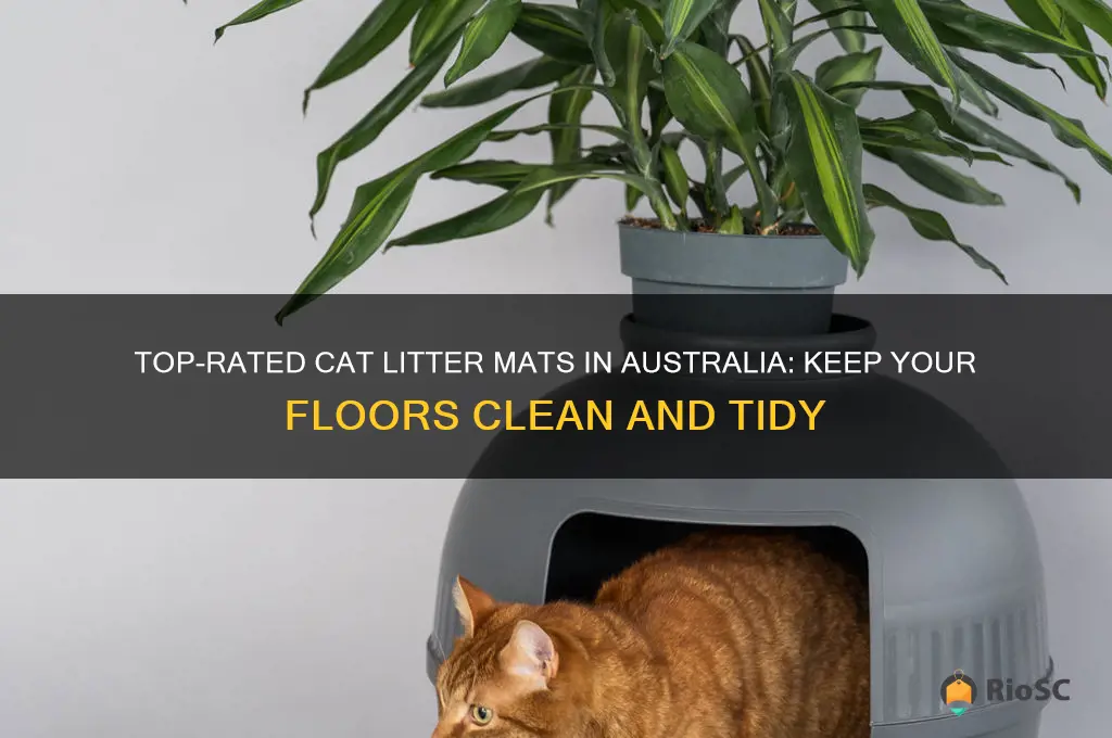 best cat litter mat australia