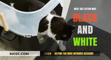 Stylish and Practical: The Best Black and White Cat Litter Mats to Keep Your Home Clean