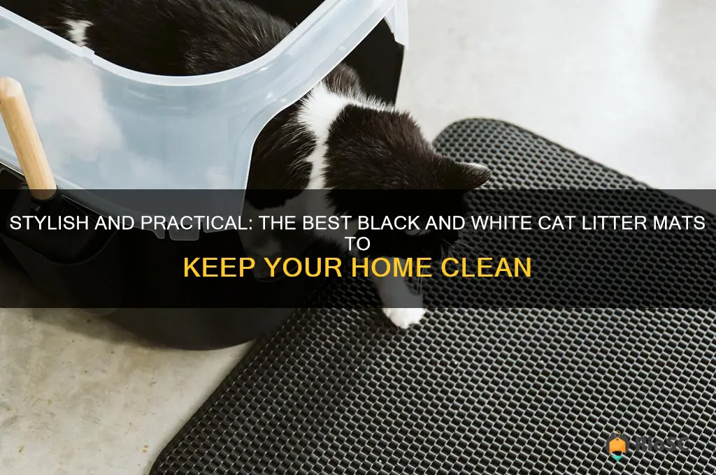 best cat litter mat black and white