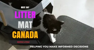 Top-Rated Cat Litter Mats in Canada: Keep Your Floors Clean and Tidy