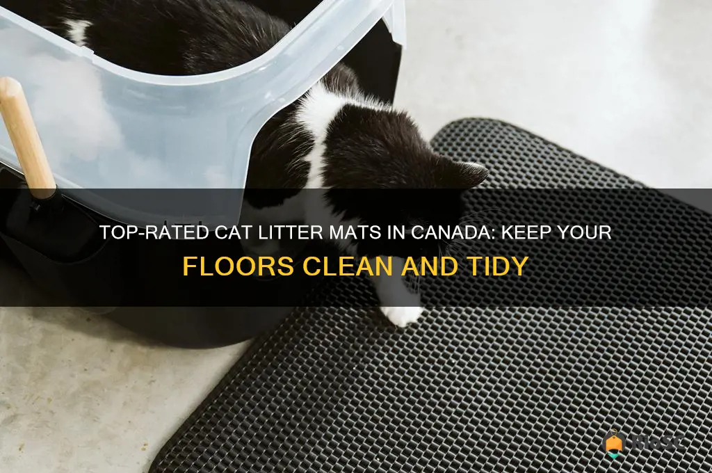 best cat litter mat canada