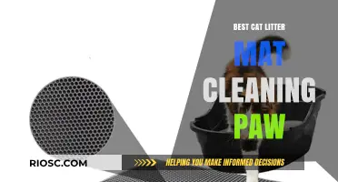 Effective Cat Litter Mat Solutions: Keeping Paws Clean and Floors Spotless