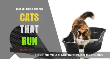 Top Cat Litter Mat Picks for Speedy Cats: Keep Litter Mess at Bay