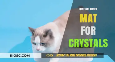 Crystal-Friendly Cat Litter Mats: Top Picks for a Cleaner, Safer Litter Box Area