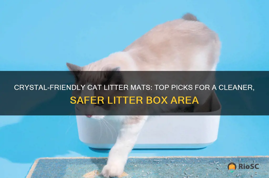 best cat litter mat for crystals