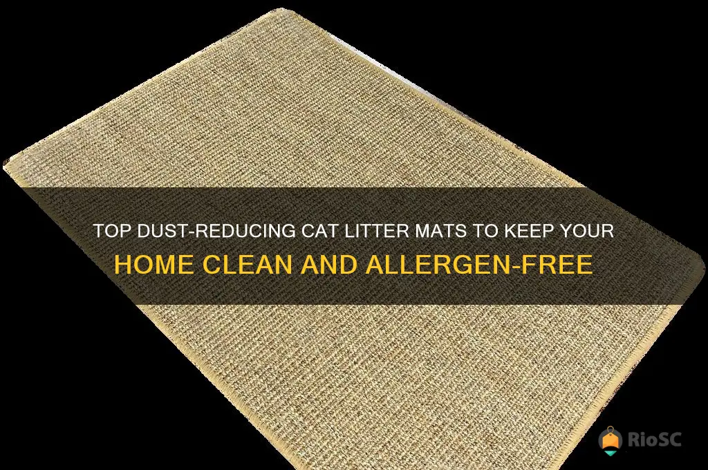 best cat litter mat for dust