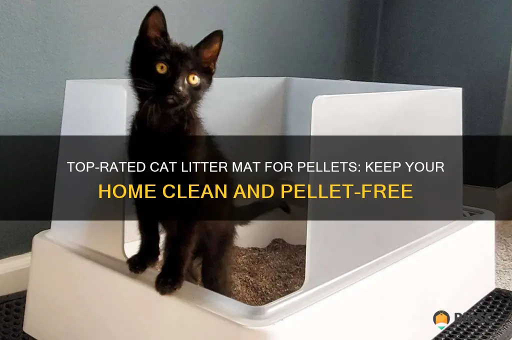 best cat litter mat for pellets