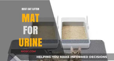 Top Cat Litter Mat Solutions for Managing Urine Messes