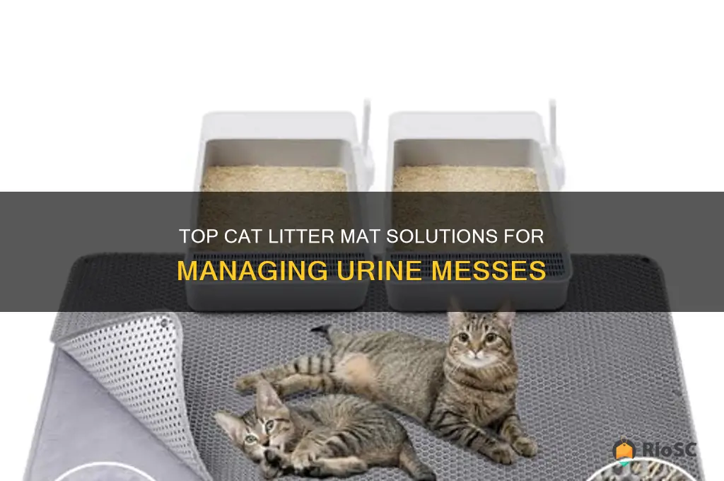 best cat litter mat for urine