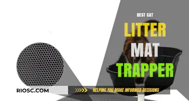Ultimate Guide to Choosing the Best Cat Litter Mat Trapper for a Cleaner Home
