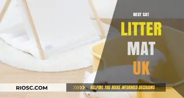 Top-Rated Cat Litter Mats in the UK: Keep Your Home Clean and Tidy
