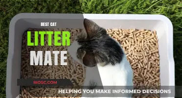 Purr-fect Match: Discover the Best Cat Litter Mate for Your Feline Friend