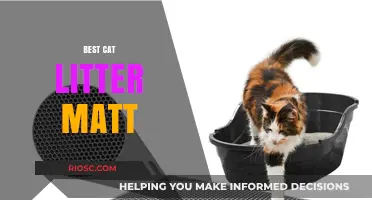 Top-Rated Cat Litter Mats to Keep Your Home Clean and Tidy