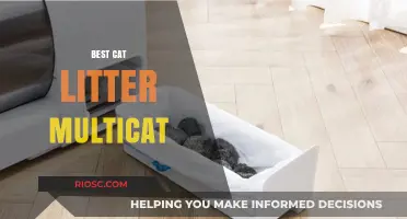 Top-Rated Multi-Cat Litter Solutions: Keeping Your Feline Family Happy and Odor-Free