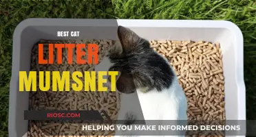 Top-Rated Cat Litter Recommendations from Mumsnet: What Parents Are Raving About