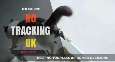 Top UK Cat Litter Options That Prevent Tracking: Keep Your Home Clean and Clump-Free