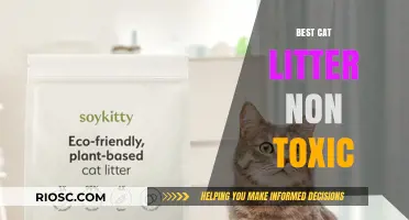 Safe and Eco-Friendly: The Best Non-Toxic Cat Litter Options for Your Feline Friend