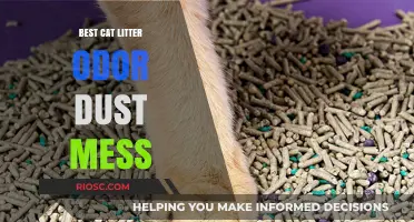 Top Cat Litter Solutions: Eliminate Odor, Dust, and Mess for a Fresher Home